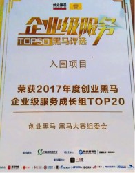 2017年度企業(yè)服務(wù)TOP20